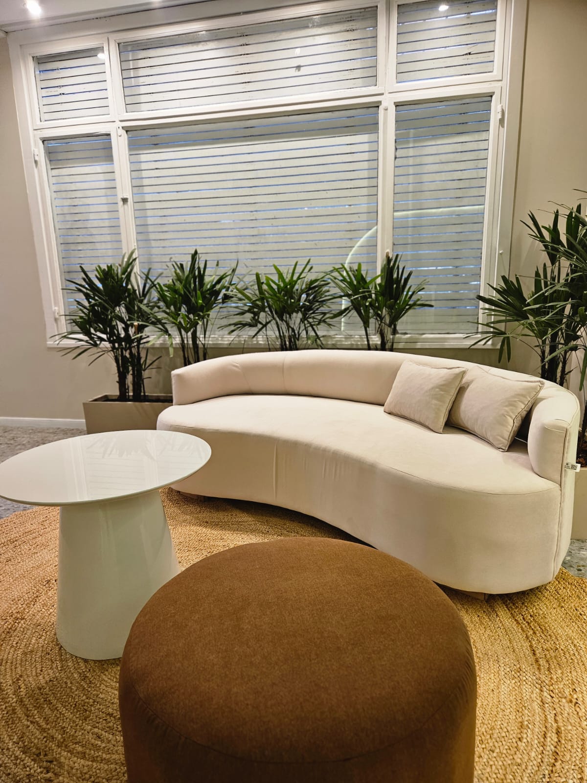 Proyecto Living Recepcion - Image 6