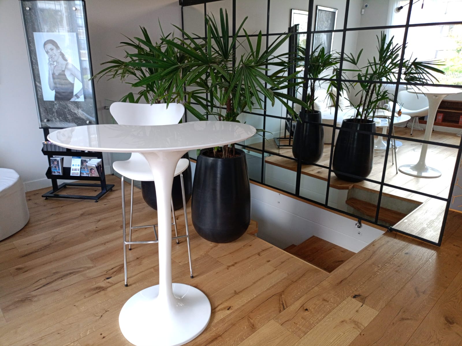 Proyecto Barra - Image 5