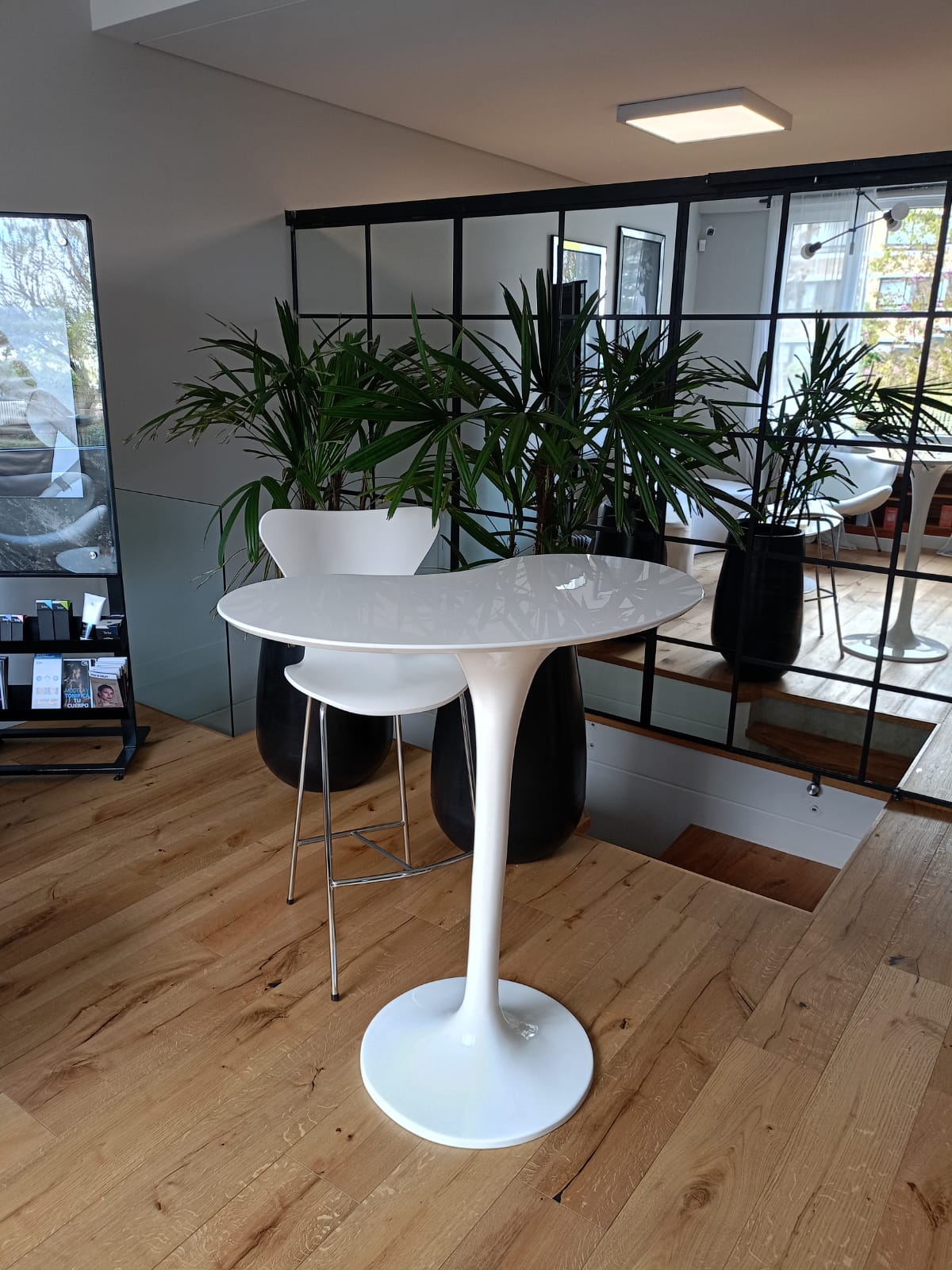 Proyecto Barra - Image 4